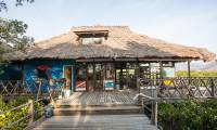 bali dive center bali dive center