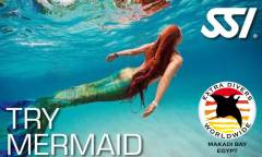 Neu bei Extra Divers Makadi Bay: Meerjungfrauen-Schwimmen Neu bei Extra Divers Makadi Bay: Meerjungfrauen-Schwimmen