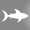 Tauchen mit Grossfisch Tauchen mit Grossfisch